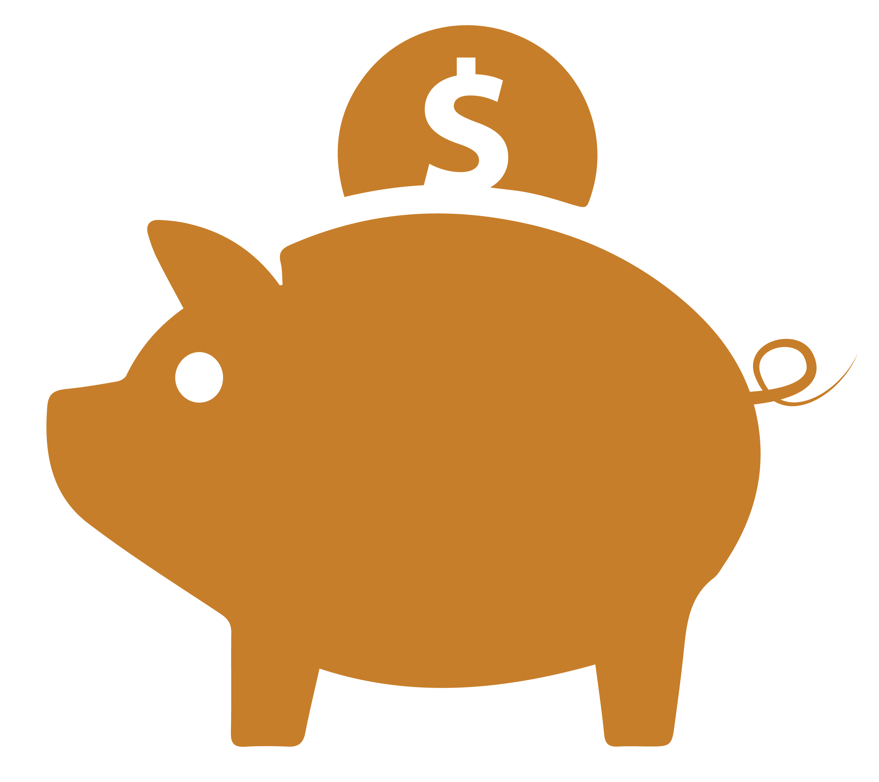 solar saves money icon